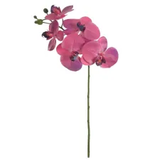 HasteOrquidea Phalaenopsis X5 Rosa 55cm Florarte HasteOrquidea Phalaenopsis X5 Rosa 55cm Florarte