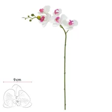 HasteOrquidea Phalaenopsis X5 Bco Beauty 65cmflorarte HasteOrquidea Phalaenopsis X5 Bco Beauty 65cmflorarte